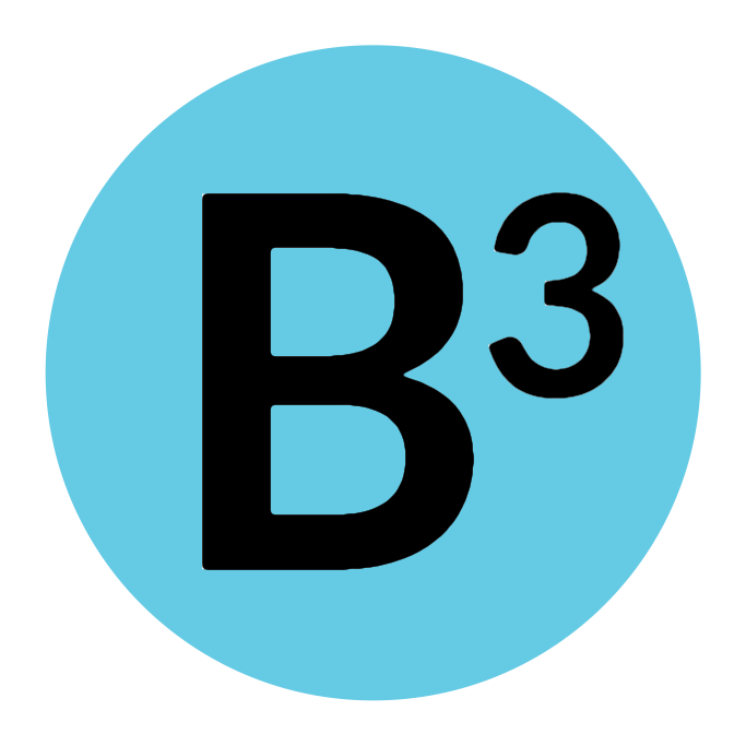 B3 Construction logo